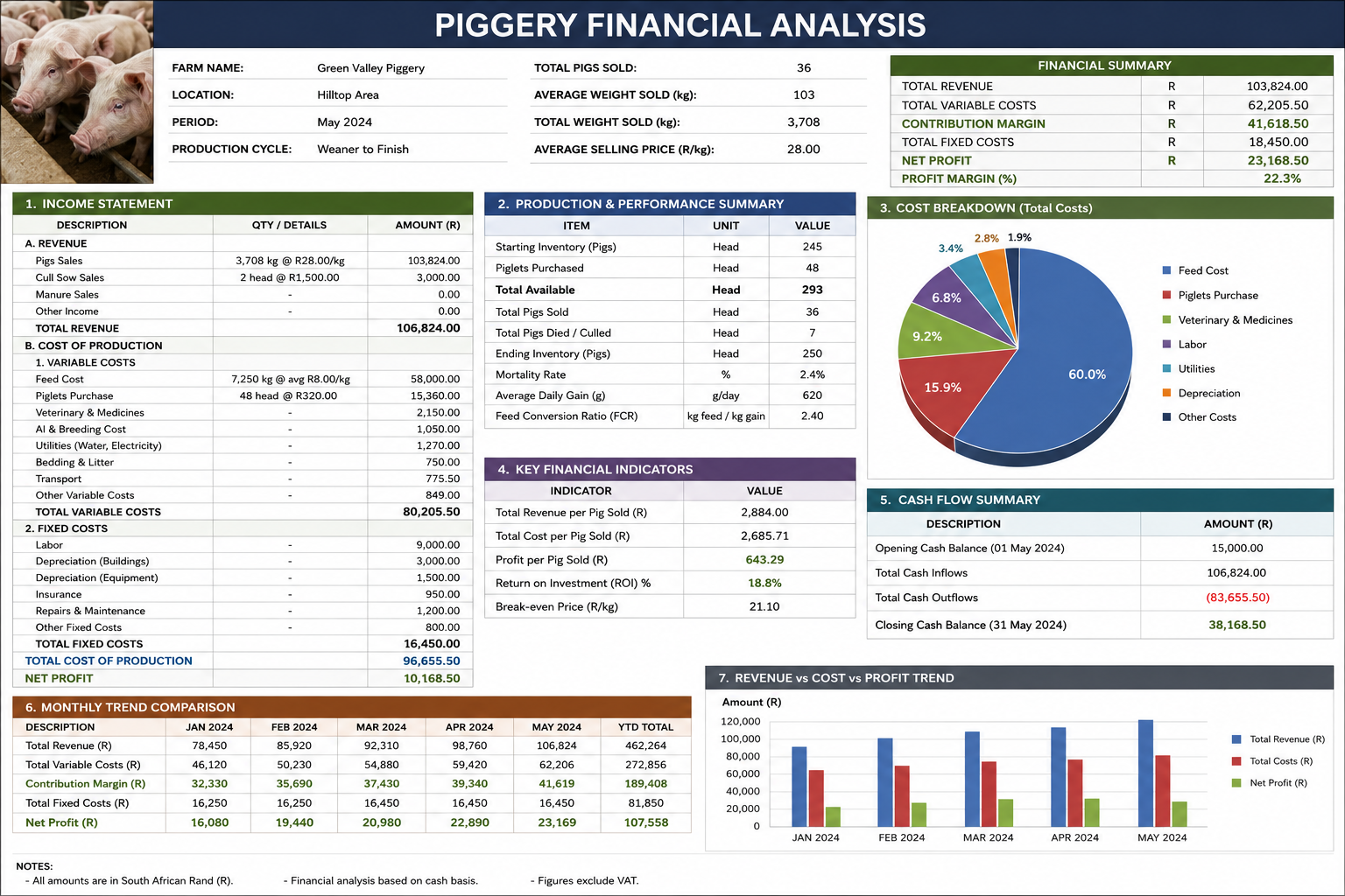 Piggery Financial Analysis & Projections
